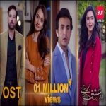 Wo To Dil Ki Thi Bas Dillagi OST