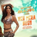 Yeh Mera Husnl - Baaghi 4