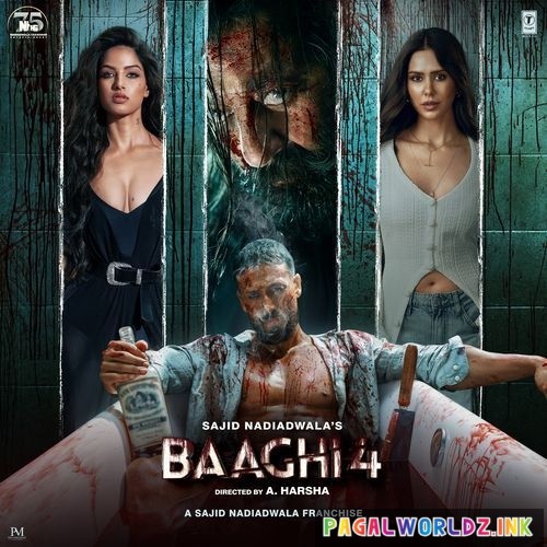 Baaghi 4 (2025)