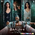 Baaghi 4 (2025)