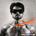 Patander (2024)