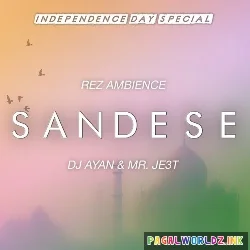 Sandese Aate Hai (Remix)