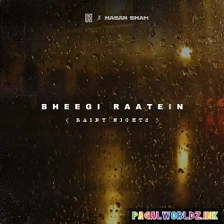 Bheegi Raatein Rainy Nights