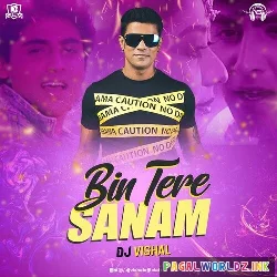 Bin Tere Sanam (Remix)