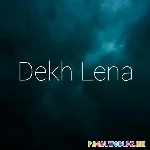 Dekh Lena Lofi