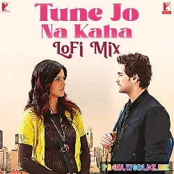 Tune Jo Na Kaha Lofi