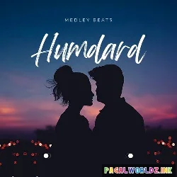 Hamdard Slowed Reverb