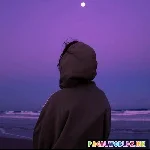 Ali Zafar Jhoom Lofi