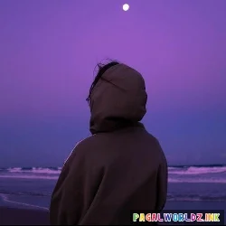 Ali Zafar Jhoom Lofi