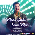 Main Aapke Seene Mein