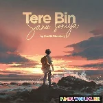 Tere Bin Sanu Soniya