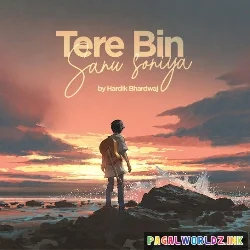 Tere Bin Sanu Soniya