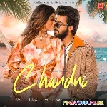 Hum Tujhko Sanam Itna Chahenge Jaise Chand Ko Chahe Chandni