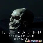 Elevated Slowed Reverb