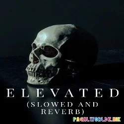 Elevated Slowed Reverb