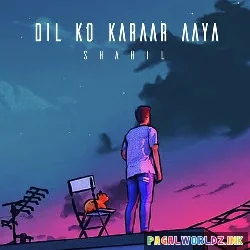 Dil Ko Karaar Aaya Lofi