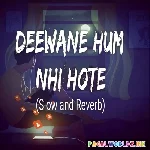 Deewane Hum Nahi Hote Lofi