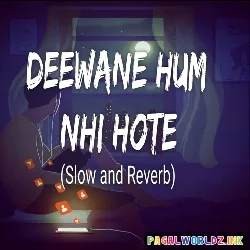 Deewane Hum Nahi Hote Lofi