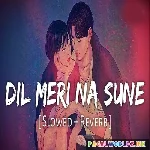 Dil+Meri+Na+Sune+Slowed+Reverb