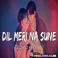 Dil Meri Na Sune Slowed Reverb