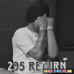 295 Returns