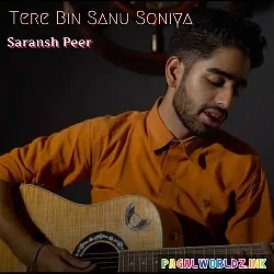 Tere Bin Sanu Soniya