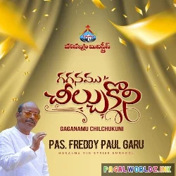 Gaganamu Cheelchukoni