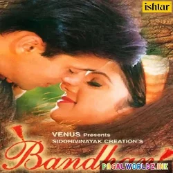 Jinki Hoti Hai Behna Wo Bhai Kismat Wale