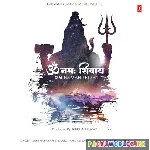 Om Namah Shivaya