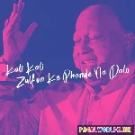 Na Chedo Hume Hum Sataye Hue Hain