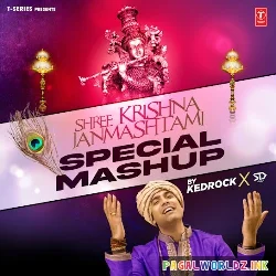 Shree Krishna Janmashtami Special Mashup