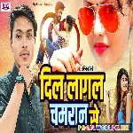 Ek+Hi+Go+Dil+Bate+Sina+Ke+Bhitariya