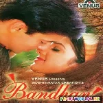 Ye+Bandhan+Dilo+Ke+Bandhan