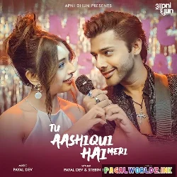 Tu Aashiqui Hai Meri