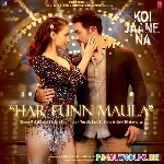 Dil Jogira Har Funn Maula