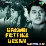 Gandhi+Puttina+Desam