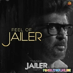 Feel of Jailer
