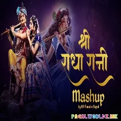 Shree Radha Rani Mashup 2024