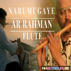 Narumugaye Narumugaiye Flute Cover
