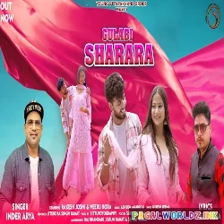 Chunari Teri Chamkani Gulabi Sharara