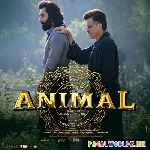 Papa Meri Jaan Animal