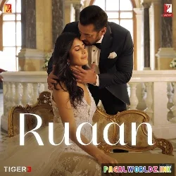 Ruaan - Tiger 3