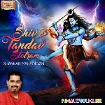 Shiv+Tandav