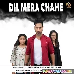 Dil Mera Chahe Jab Bhi Tu Aaye