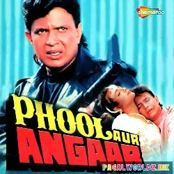 Hum Teri Mohabbat Mein