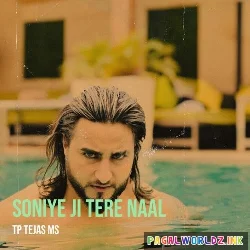 Soniye Je Tere Naal
