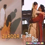 Zaroor X Tere Bina