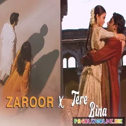 Zaroor X Tere Bina