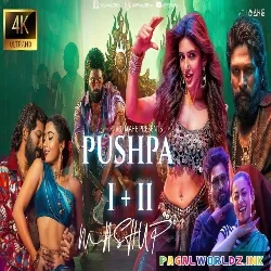 Pushpa n Pushpa 2 Mega Mashup