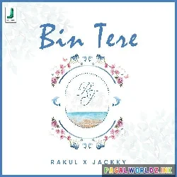 Bin Tere